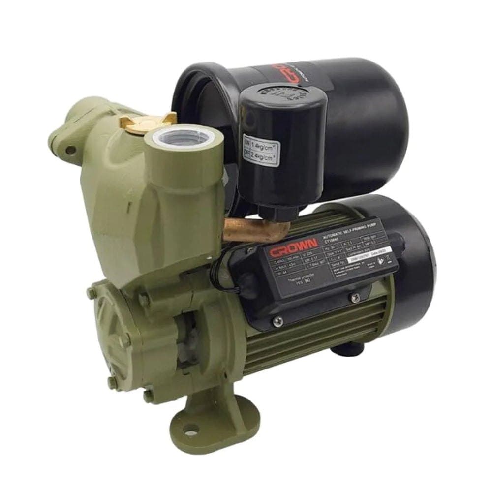 Pompe à eau CROWN 350 W